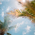 St. Augustine, Florida: A Photographer’s Guide To The Oldest City In America