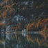 The Best Smartphone Tips And Tricks For Fall Photography